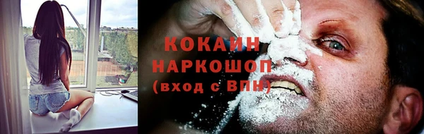 спиды Ельня