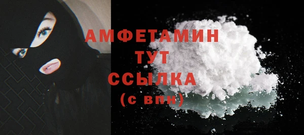 спиды Ельня