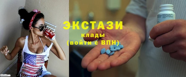 спиды Ельня