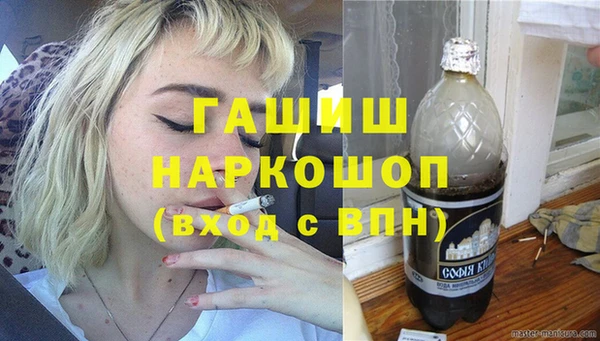 спиды Ельня