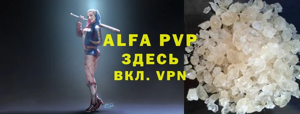спиды Ельня