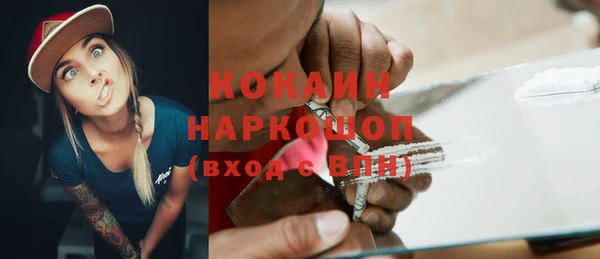 спиды Ельня
