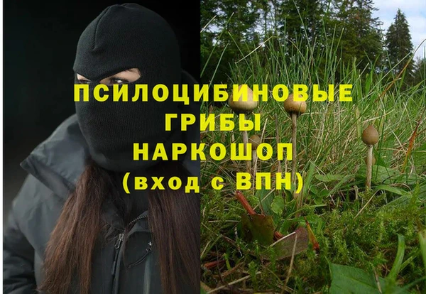 кристаллы Елабуга