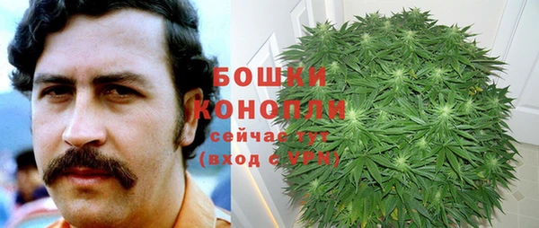 спиды Ельня
