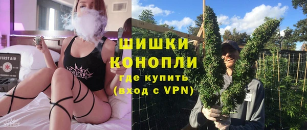 спиды Ельня