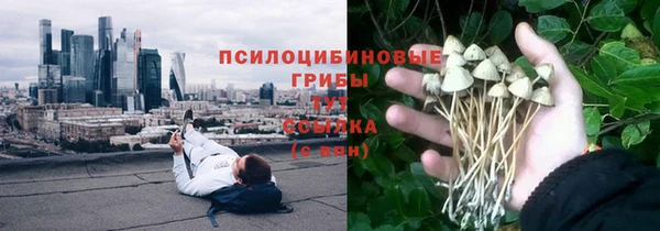спиды Ельня