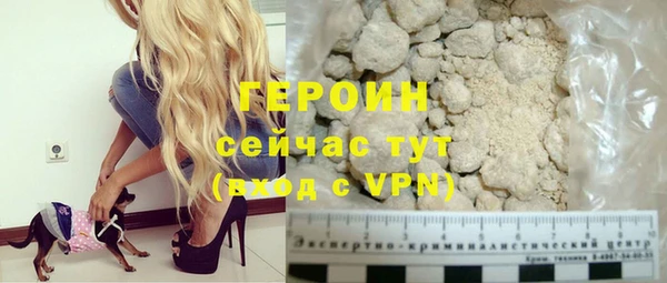 спиды Ельня