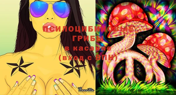 спиды Ельня